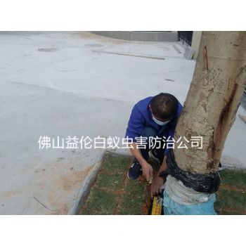 北滘小区装白蚁诱杀箱