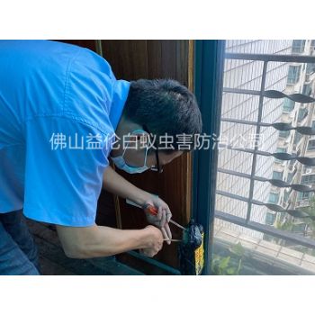 大良雅居乐花园白蚁防治