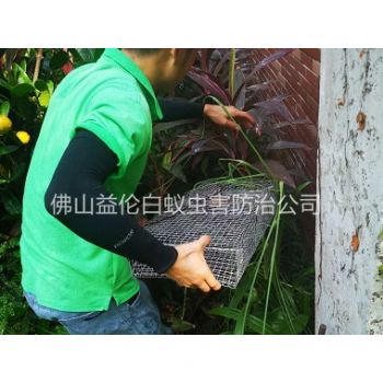 陈村除四害公司抓蛇工程