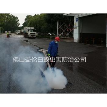 杏坛街道消杀蟑螂蚊蝇