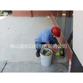 乐从工厂施药灭鼠