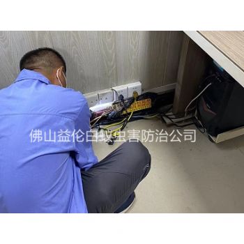 大良房屋治白蚁工程