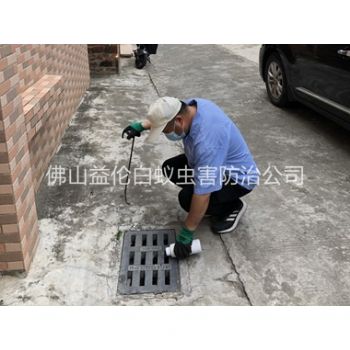 伦教蚊蝇孳生地消杀