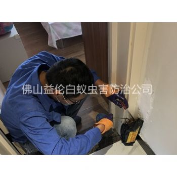 陈村住宅白蚁防治工程