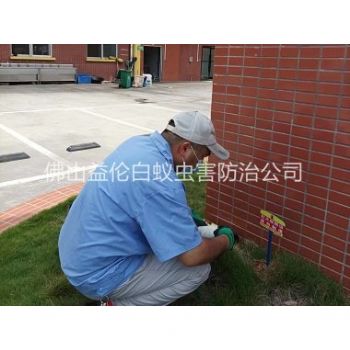 勒流杀灭红火蚁工程