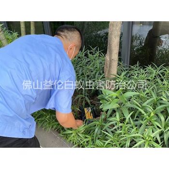 北滘园林灭治白蚁工程