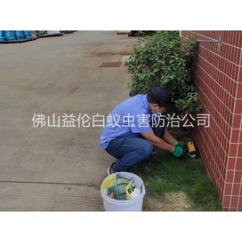 容桂布放灭鼠屋工程