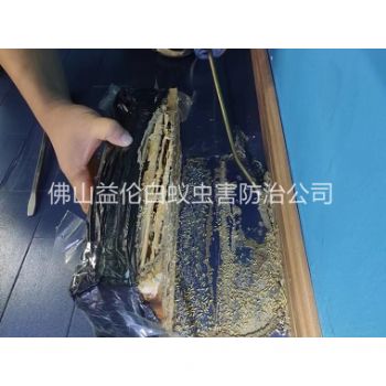 北滘体育馆灭治白蚁工程