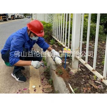 乐从红火蚁防治工程